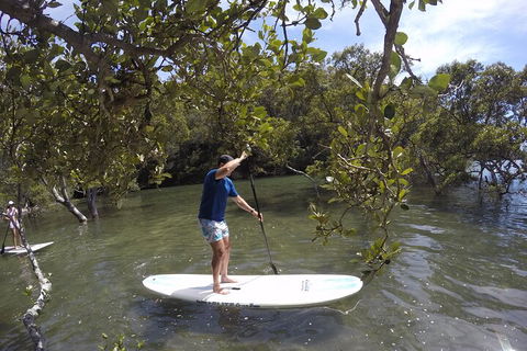Ku-ring-gai Chase National Park Stand Up Paddleboard Tour - Darwin Holiday 3