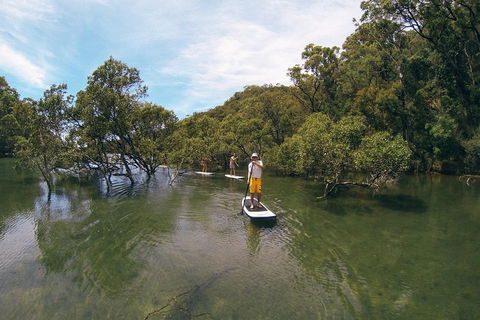 Ku-ring-gai Chase National Park Stand Up Paddleboard Tour - Darwin Holiday 5