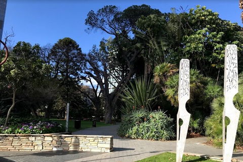 Perth Scavenger Hunt: Perched On A Swan - Darwin Holiday 2