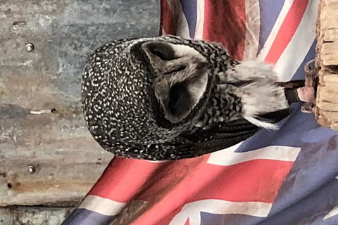 Perth Hills - Wildlife, Art & Gastronomy - Darwin Holiday 5