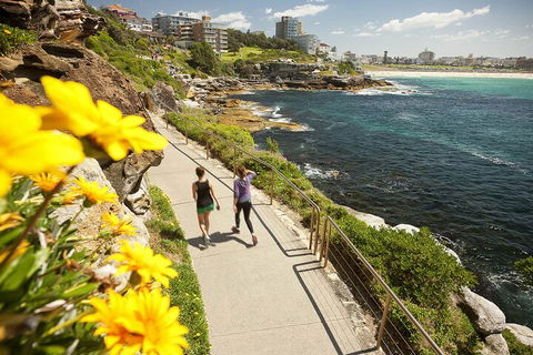 Sydney Uncovered Full-Day Tour - Darwin Holiday 1