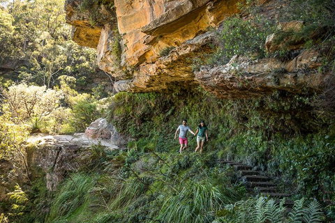 Private Guided: Blue Mountains Hiking & Nature Tour - Darwin Holiday 2