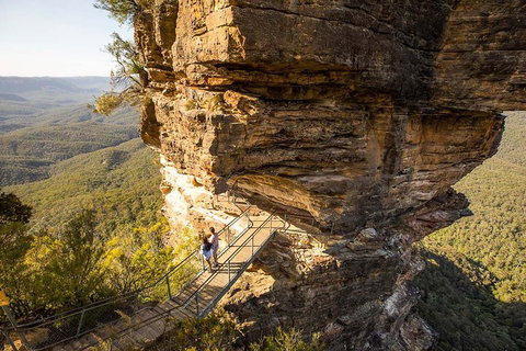 Private Guided: Blue Mountains Hiking & Nature Tour - Darwin Holiday 4