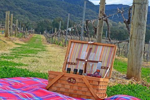 Private Hunter Valley And Gardens Day Trip From Sydney - Darwin Holiday 2