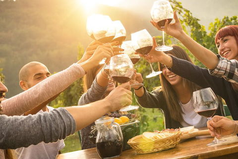 Yarra Valley, Dandenong Ranges Inc. Lunch With Wine,plus Morning Tea,chocolate - Darwin Holiday 4
