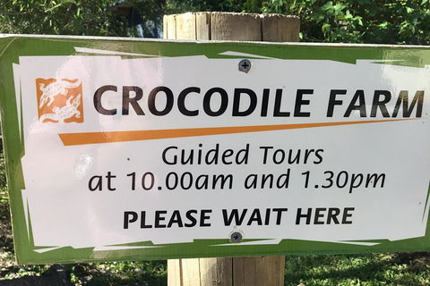 Cairns City Tour - Darwin Holiday 5
