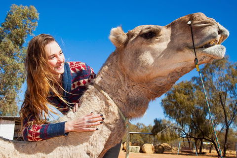 Alice Springs Camel Tour - Darwin Holiday 2