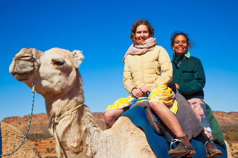 Alice Springs Camel Tour - Darwin Holiday 3