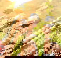 Adelaide Hills Day Tour. Winery Cellar Doors - Darwin Holiday