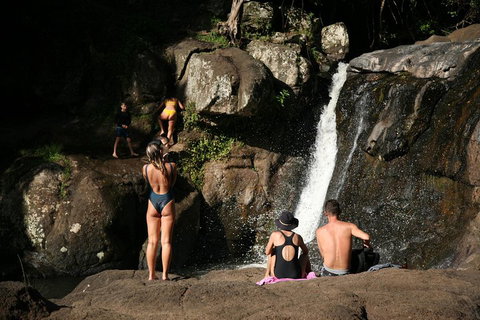 Hinterland Magic & Glow-worm Experience - Darwin Holiday 5