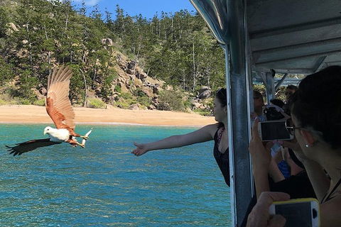 Aquascene Magnetic Island Discovery Tour - Darwin Holiday 2