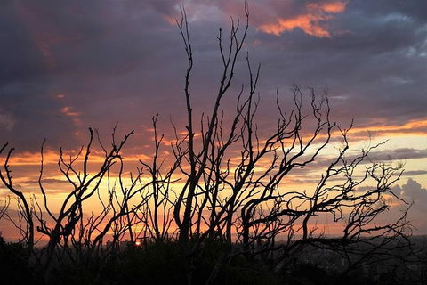 Sydney Harbour, Northern Beaches And National Park - Darwin Holiday 4