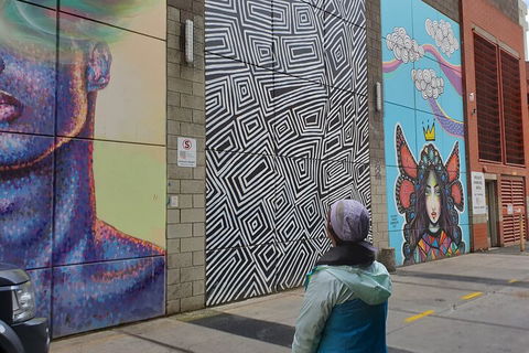 Jimmy C Street Art Walking Tour - Darwin Holiday 2