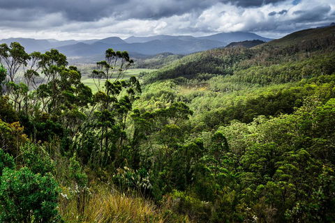 5-Day Lap Of Tasmania Tour From Hobart (flexible Ticket) - Darwin Holiday 2