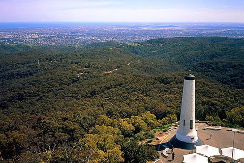 Adelaide Shore Excursion: Adelaide City Tour By Private Limo - Darwin Holiday 3