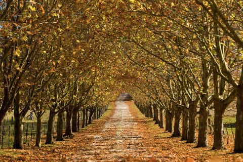 Private Southern Highlands Day Trip From Sydney Including Fitzroy Falls - Darwin Holiday 4