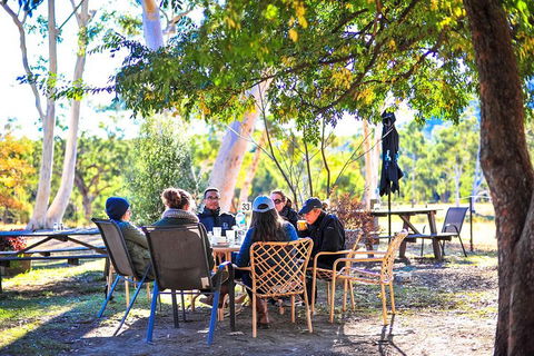 Blue Mountains Private Tour From Sydney - Darwin Holiday 5
