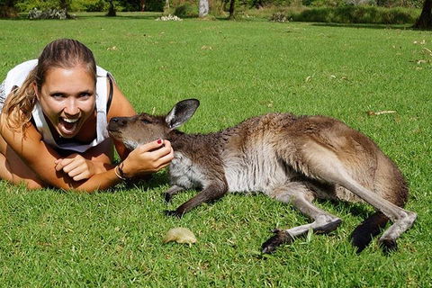 7-Day Tour In Sydney With Airport Pickup - Darwin Holiday 4