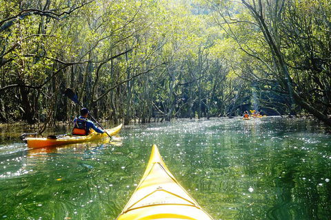 Self-Guided Sydney Middle Harbour Kayak 3 Hour Tour By Double Kayak - Darwin Holiday 3