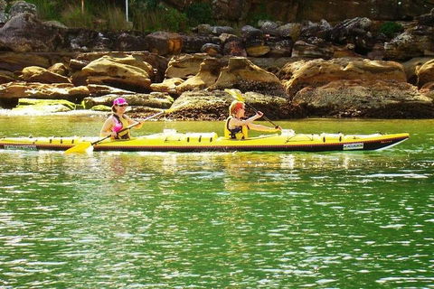 Self-Guided Sydney Middle Harbour Kayak 3 Hour Tour By Double Kayak - Darwin Holiday 5
