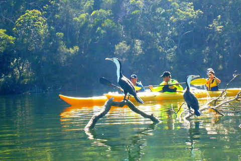 Middle Harbour Mangrove Explorer - Darwin Holiday 2