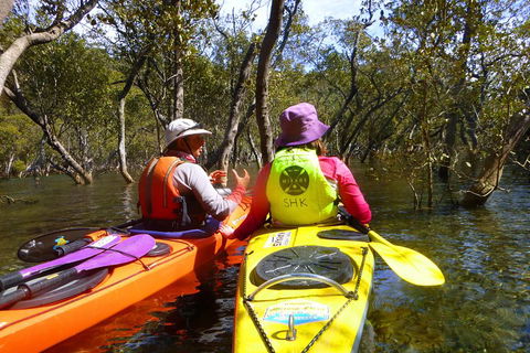 Middle Harbour Mangrove Explorer - Darwin Holiday 3