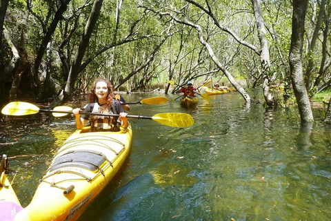 Middle Harbour Mangrove Explorer - Darwin Holiday 4