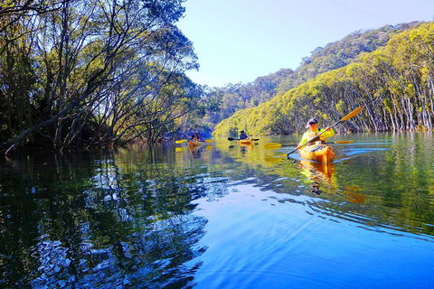 Middle Harbour Mangrove Explorer - Darwin Holiday 5