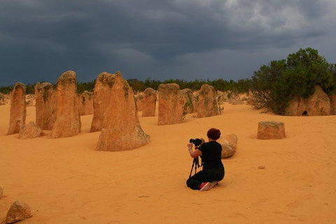 The Pinnacles, Sea And Dunescapes, Bush Reserve And Sunset Day Tour - Darwin Holiday 2
