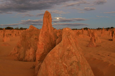 The Pinnacles, Sea And Dunescapes, Bush Reserve And Sunset Day Tour - Darwin Holiday 4