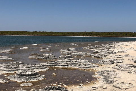 Private Pinnacles Day Tour - Darwin Holiday 5