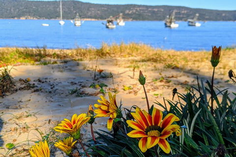 Central Coast Explorer With 'Personalised Sydney Tours' - Darwin Holiday 2