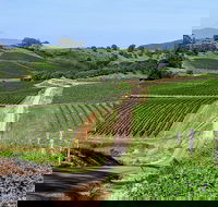 The Complete Hunter Valley Wine Tour of Pokolbin Mt View Lovedale and Rothbury - Darwin Holiday