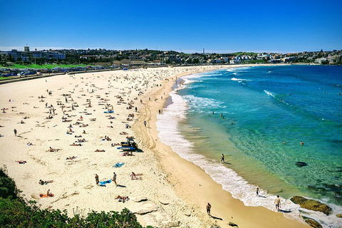 Sydney & Bondi Beach Plus Local Secrets With 'Personalised Sydney Tours' - Darwin Holiday 5