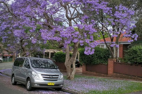 Sydney Secrets & Bondi Beach Private 4 Hr Morning With Personalised Sydney Tours - Darwin Holiday 0