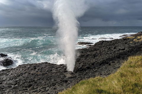 Erupting Blowholes And Ancient Rainforests With 'Personalised Sydney Tours' - Darwin Holiday 1
