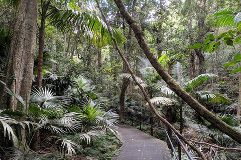 Erupting Blowholes And Ancient Rainforests With 'Personalised Sydney Tours' - Darwin Holiday 2