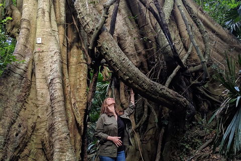Erupting Blowholes And Ancient Rainforests With 'Personalised Sydney Tours' - Darwin Holiday 4