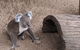 Australian Wildlife & Waterfalls Private Tour With 'Personalised Sydney Tours' - thumb 0