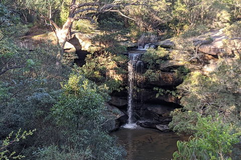 Australian Wildlife & Waterfalls Private Tour With 'Personalised Sydney Tours' - Darwin Holiday 5