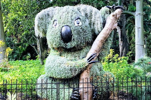 Discover Sydney - Botanic - Darwin Holiday 1