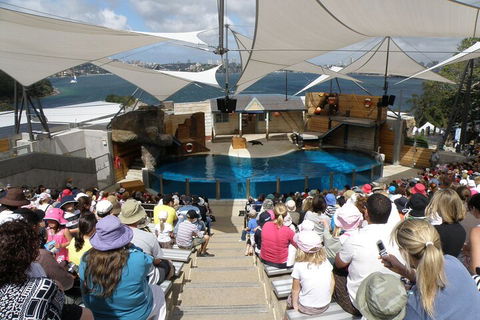 Sydney Taronga Zoo General Entry Ticket - Darwin Holiday 5