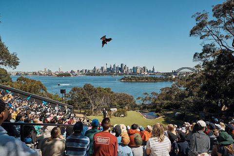 Sydney Taronga Zoo General Entry Ticket And Wild Australia Experience - Darwin Holiday 5