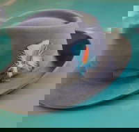 '56 Chevrolet 6-Hour Dandenong Ranges Classic Car Private Tour 4 person - Darwin Holiday