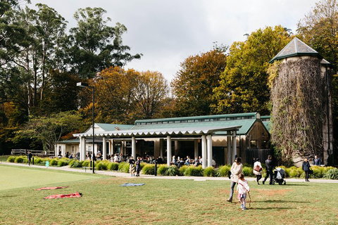 '56 Chevrolet 6-Hour Dandenong Ranges Classic Car Private Tour (4 Person) - Darwin Holiday 5