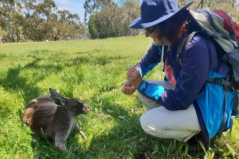 Mount Lofty Hike And Cleland Wildlife Park Day Trip From Adelaide - Darwin Holiday 1