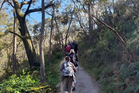 Mount Lofty Hike And Cleland Wildlife Park Day Trip From Adelaide - Darwin Holiday 3