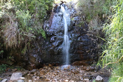 Mount Lofty Hike And Cleland Wildlife Park Day Trip From Adelaide - Darwin Holiday 4