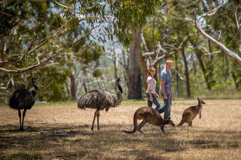 Mount Lofty Hike And Cleland Wildlife Park Day Trip From Adelaide - Darwin Holiday 5