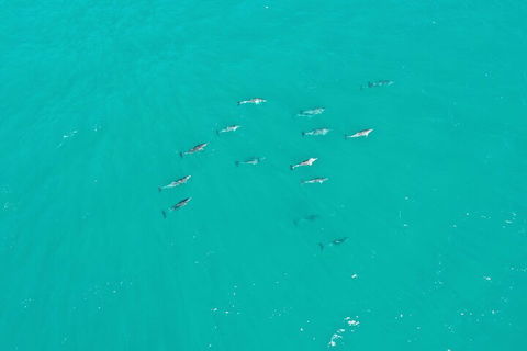 Port Macquarie Hastings Explorer - 30 Min VIP Private Flight - Darwin Holiday 4